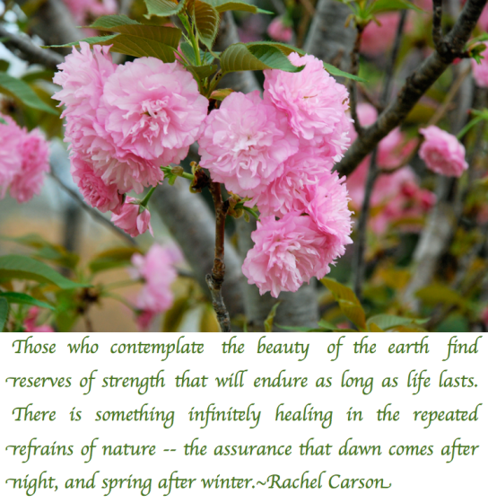 Screen Shot 2018-03-28 at 9.48.34 PM.png