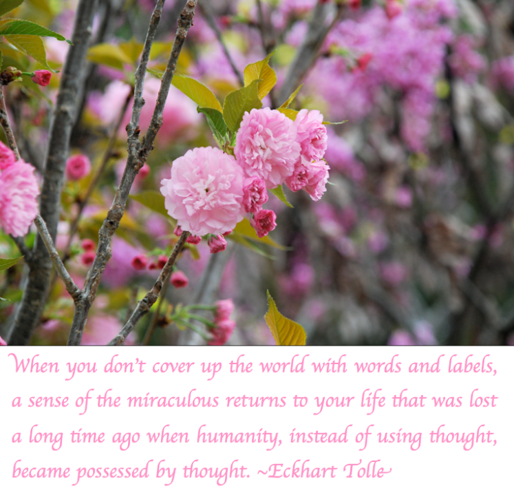 Screen Shot 2018-03-30 at 10.06.55 PM.png