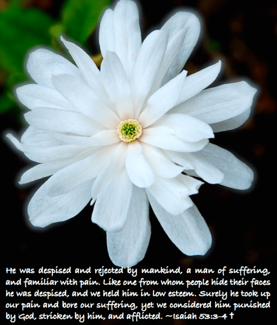 Screen Shot 2018-03-31 at 12.01.09 AM.png