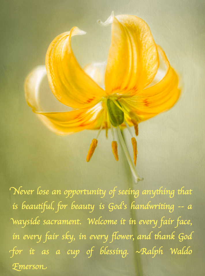 Screen Shot 2018-03-31 at 12.13.44 AM.png