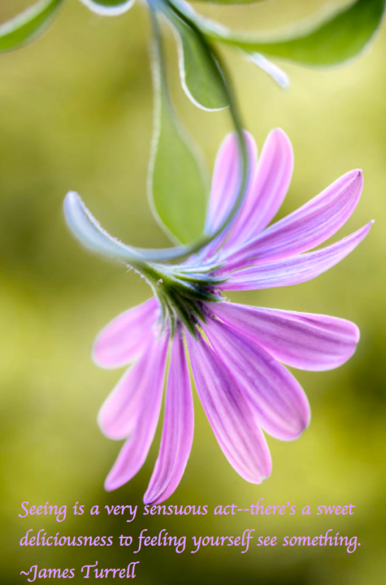 Screen Shot 2018-03-31 at 12.15.44 AM.png