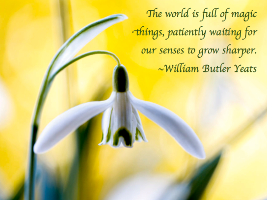 Screen Shot 2018-03-31 at 12.21.17 AM.png