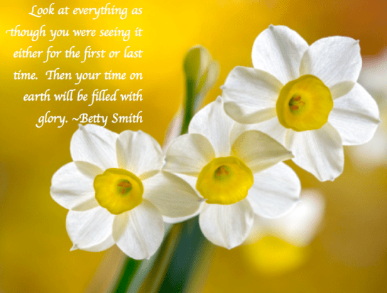 Screen Shot 2018-03-31 at 12.24.21 AM.png