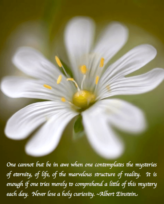 Screen Shot 2018-03-31 at 12.28.25 AM.png