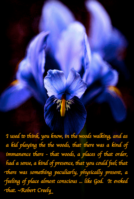 Screen Shot 2018-03-31 at 12.37.15 AM.png