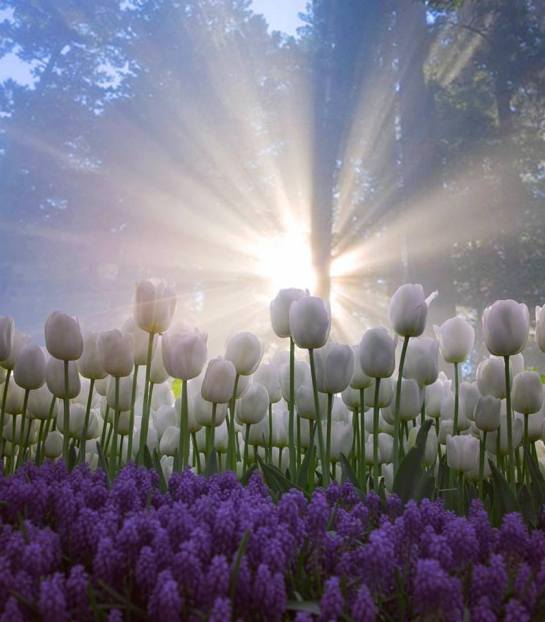 31229896_2008592609169578_8370840403196248064_n