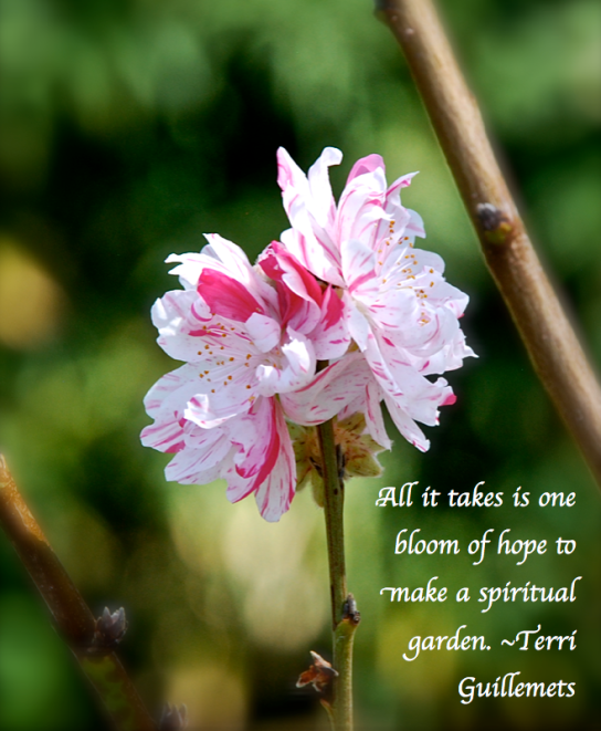 Screen Shot 2018-04-03 at 11.19.57 PM.png