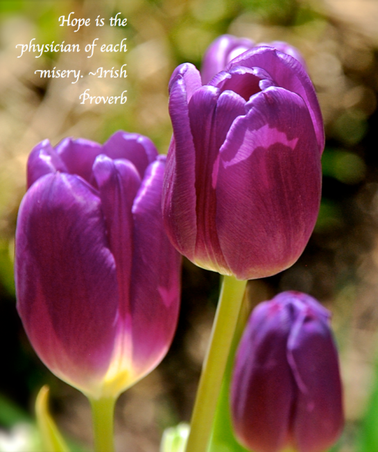 Screen Shot 2018-04-03 at 11.22.54 PM.png