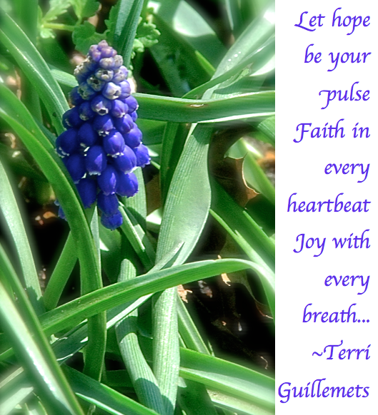 Screen Shot 2018-04-03 at 11.28.21 PM.png