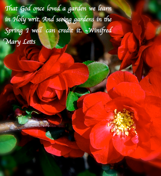 Screen Shot 2018-04-03 at 5.18.24 PM.png