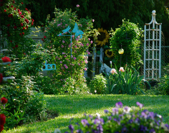 Screen Shot 2018-04-04 at 9.04.50 PM.png