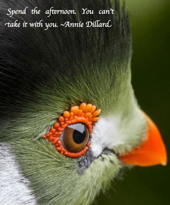 Screen Shot 2018-04-05 at 11.18.42 PM.png