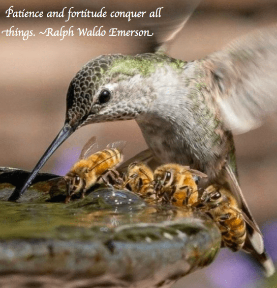 Screen Shot 2018-04-05 at 11.24.21 PM.png