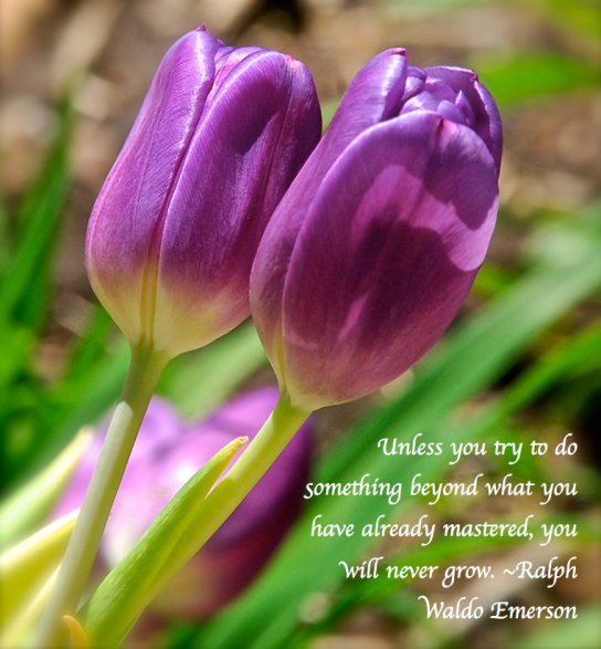 Screen Shot 2018-04-05 at 11.29.59 PM.png