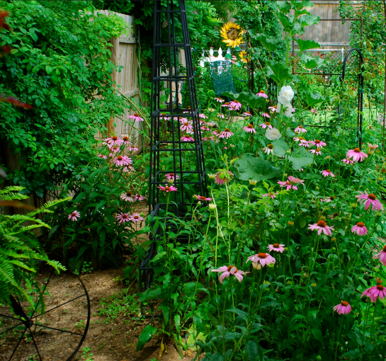 Screen Shot 2018-04-06 at 8.18.49 PM.png