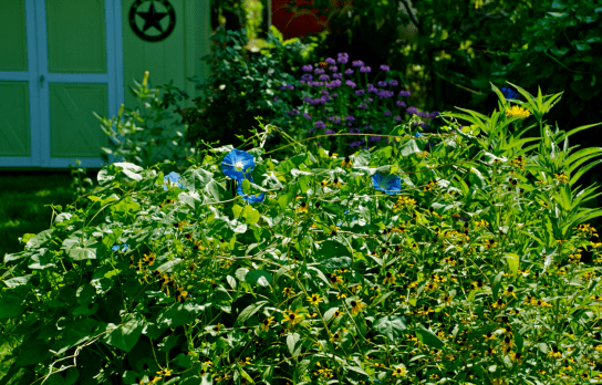 Screen Shot 2018-04-06 at 8.37.51 PM.png