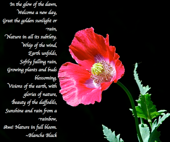 Screen Shot 2018-04-07 at 11.48.50 PM.png