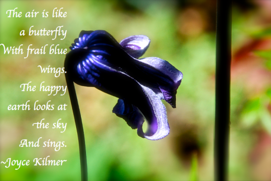 Screen Shot 2018-04-07 at 11.52.30 PM.png