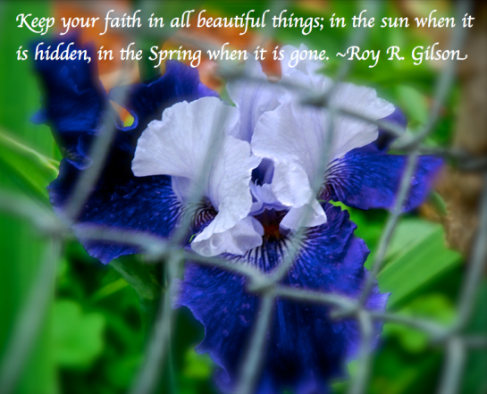 Screen Shot 2018-04-07 at 11.55.19 PM.png