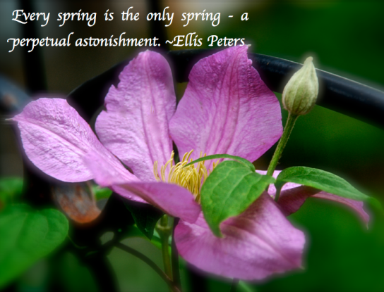 Screen Shot 2018-04-07 at 11.57.38 PM.png