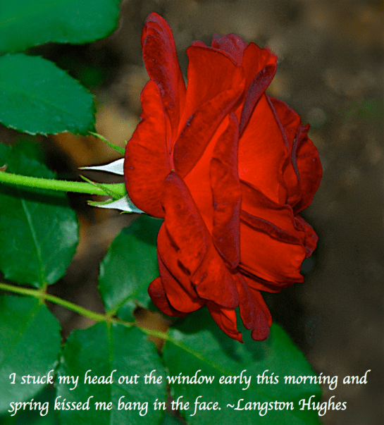 Screen Shot 2018-04-08 at 12.01.55 AM.png