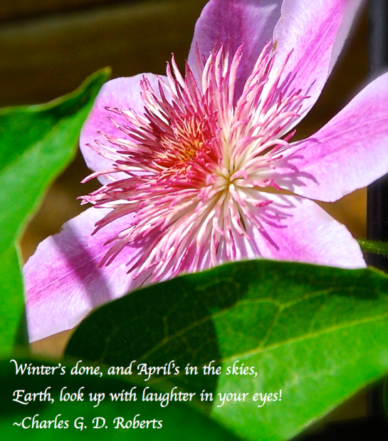 Screen Shot 2018-04-08 at 12.04.00 AM.png