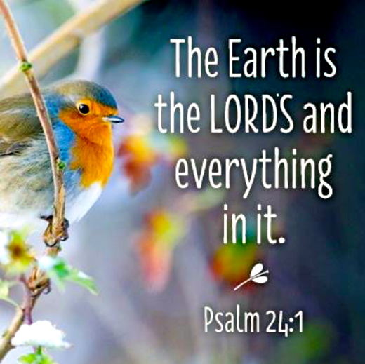 Screen Shot 2018-04-08 at 12.13.53 AM.png