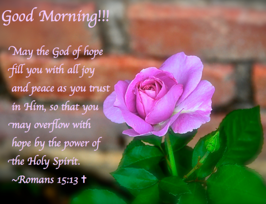 Screen Shot 2018-04-08 at 12.32.03 AM.png