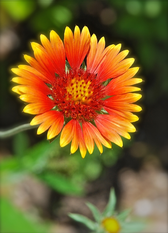 Screen Shot 2018-04-11 at 10.04.12 PM.png