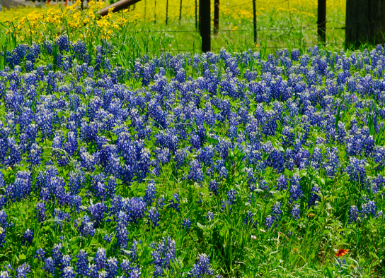 Screen Shot 2018-04-11 at 10.06.37 PM.png