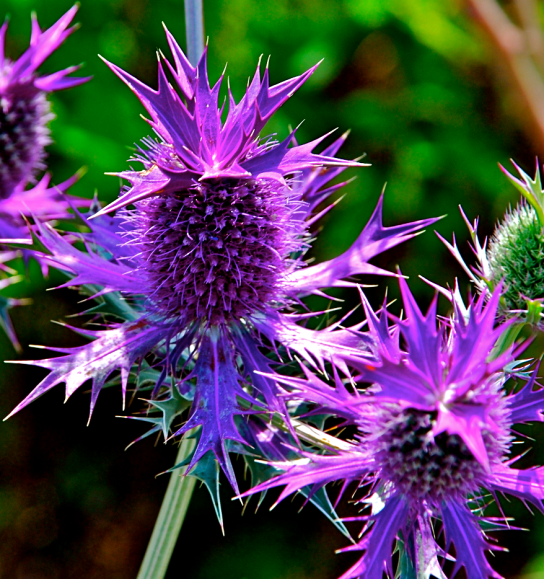 Screen Shot 2018-04-11 at 10.07.09 PM.png