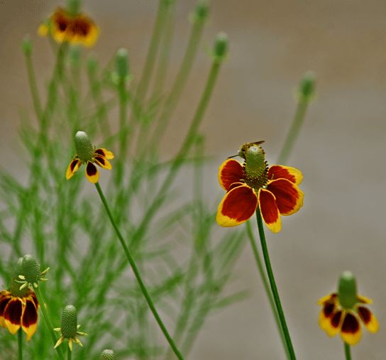 Screen Shot 2018-04-11 at 10.11.04 PM.png