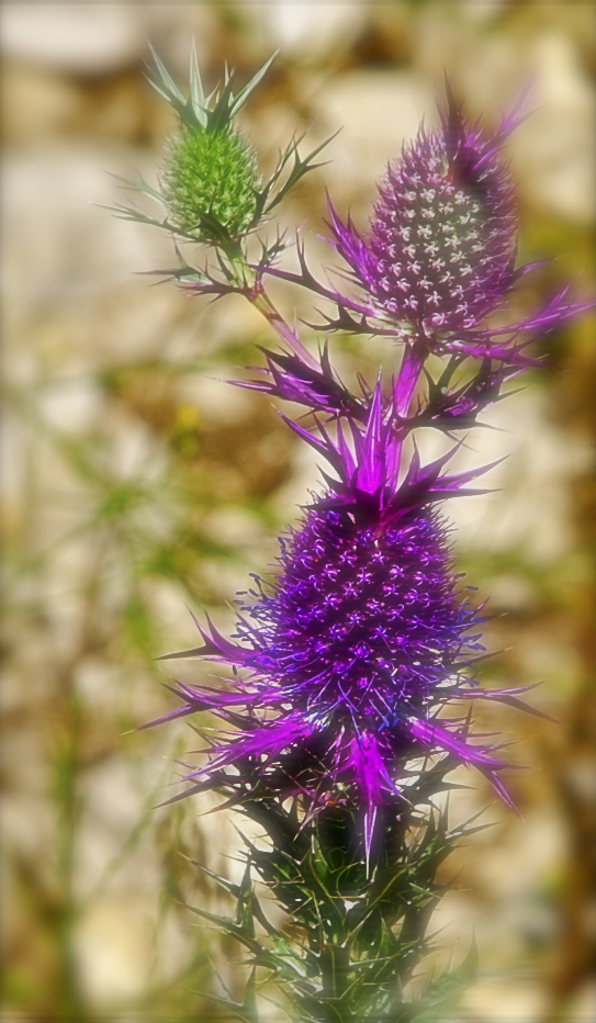 Screen Shot 2018-04-11 at 10.11.39 PM.png