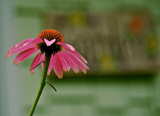 Screen Shot 2018-04-11 at 10.13.44 PM.png