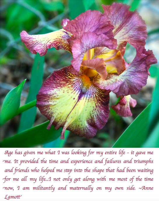 Screen Shot 2018-04-11 at 10.29.31 PM.png