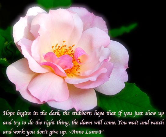 Screen Shot 2018-04-11 at 10.39.03 PM.png