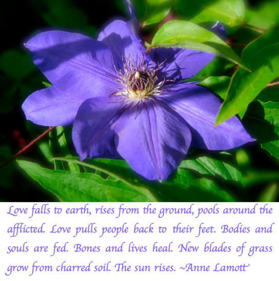 Screen Shot 2018-04-11 at 10.41.07 PM.png