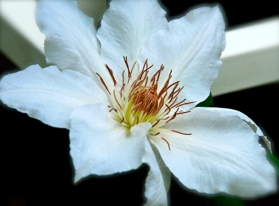 Screen Shot 2018-04-11 at 3.30.30 PM.png