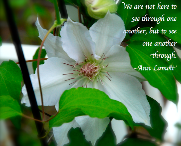 Screen Shot 2018-04-11 at 4.00.01 PM.png