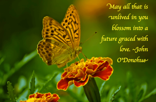 Screen Shot 2018-04-12 at 9.09.31 PM.png