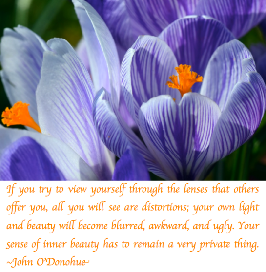 Screen Shot 2018-04-12 at 9.12.47 PM.png