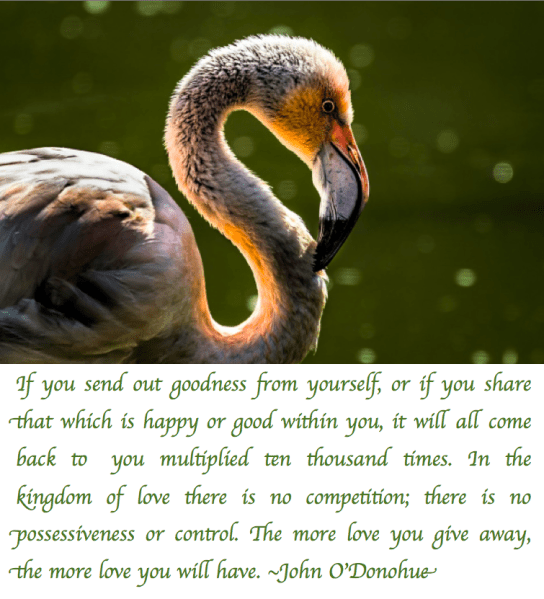 Screen Shot 2018-04-12 at 9.15.49 PM.png