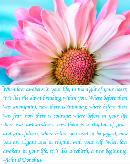 Screen Shot 2018-04-12 at 9.17.57 PM.png