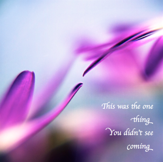 Screen Shot 2018-04-13 at 9.49.51 PM.png