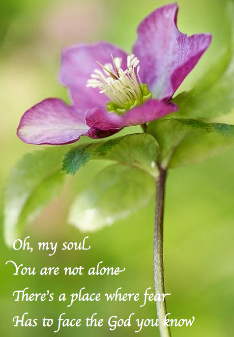 Screen Shot 2018-04-13 at 9.55.01 PM.png