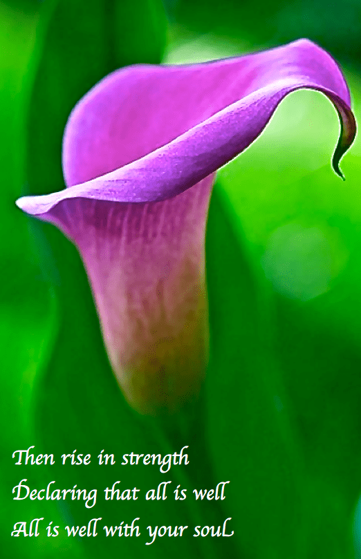 Screen Shot 2018-04-14 at 10.58.24 AM.png