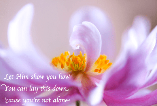 Screen Shot 2018-04-14 at 11.01.45 AM.png