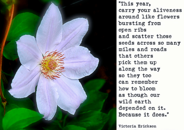 Screen Shot 2018-04-15 at 10.39.29 PM.png