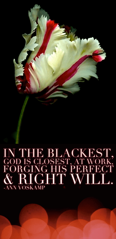 Screen Shot 2018-04-17 at 5.26.04 PM.png