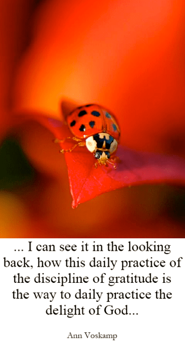 Screen Shot 2018-04-17 at 5.42.03 PM.png